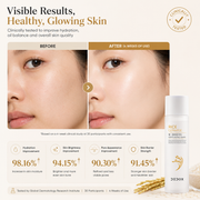 DEDOX Ceramide Rice Moisturizing Toner 20ml – Hydrating Essential Face Moisturizer for All Skin Types – Korean Skincare (20ml)