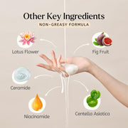 DEDOX Ceramide Rice Moisturizing Toner 20ml – Hydrating Essential Face Moisturizer for All Skin Types – Korean Skincare (20ml)