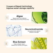 Dedox Rice Toner for Sensitive Skin, Rice Extract from Korea, Glow Essence with Niacinamide, Hydrating, Vegan, Alcohol Free, Fragrance Free, Peta Approved, K Beauty Toner 120ml